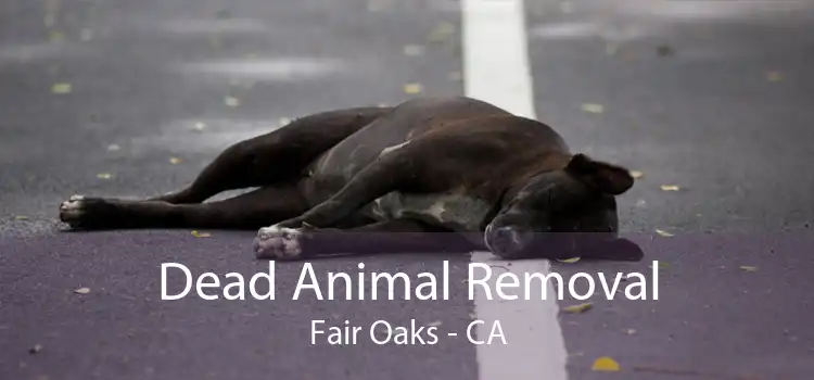 Dead Animal Removal Fair Oaks - CA