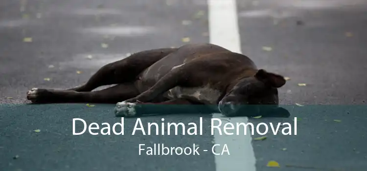 Dead Animal Removal Fallbrook - CA