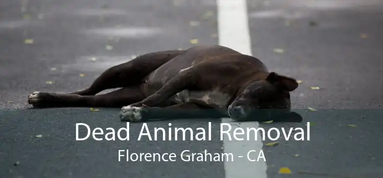 Dead Animal Removal Florence Graham - CA