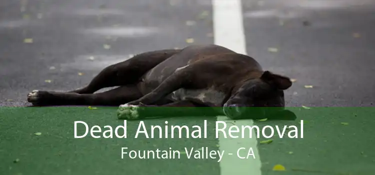 Dead Animal Removal Fountain Valley - CA