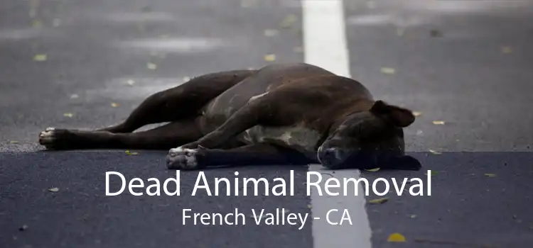 Dead Animal Removal French Valley - CA