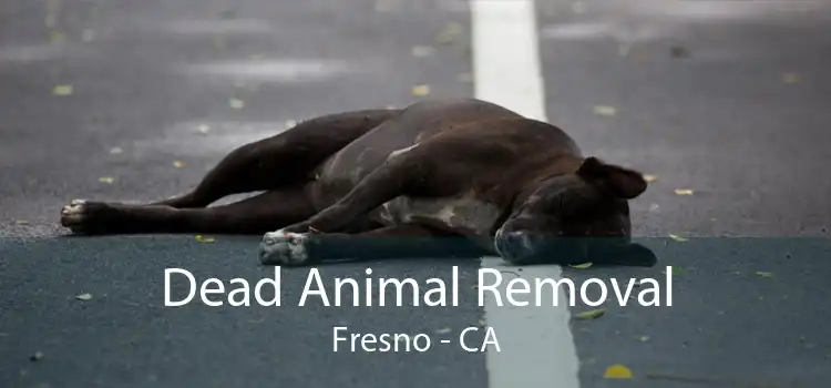 Dead Animal Removal Fresno - CA