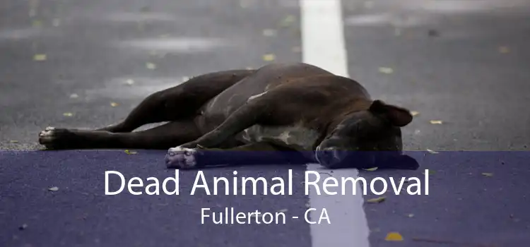 Dead Animal Removal Fullerton - CA