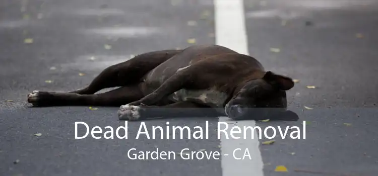 Dead Animal Removal Garden Grove - CA