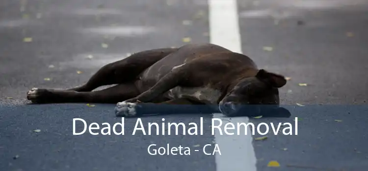 Dead Animal Removal Goleta - CA