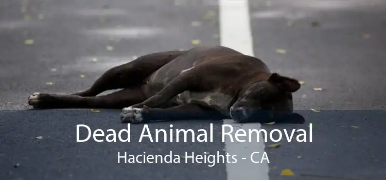 Dead Animal Removal Hacienda Heights - CA