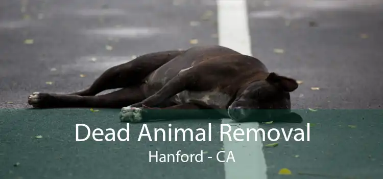Dead Animal Removal Hanford - CA
