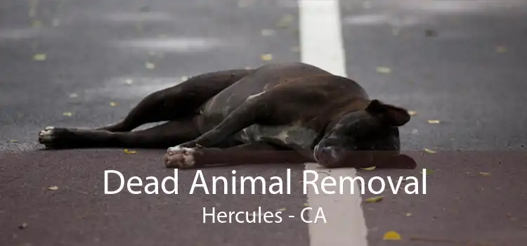 Dead Animal Removal Hercules - CA