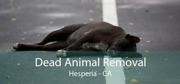 Dead Animal Removal Hesperia - CA