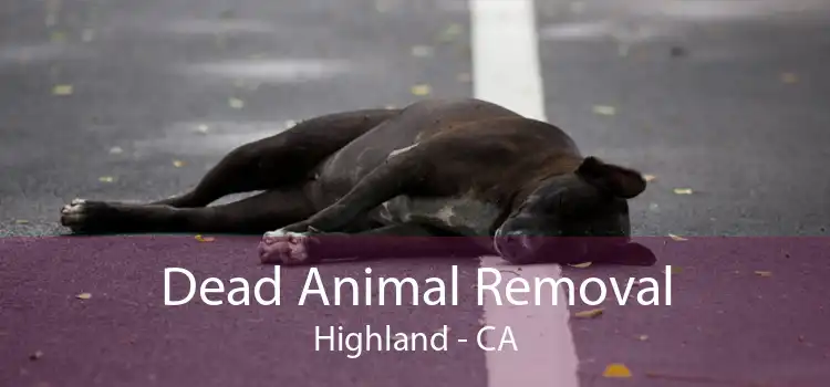 Dead Animal Removal Highland - CA