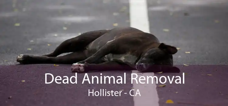 Dead Animal Removal Hollister - CA