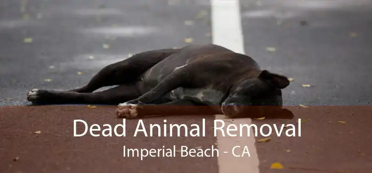 Dead Animal Removal Imperial Beach - CA