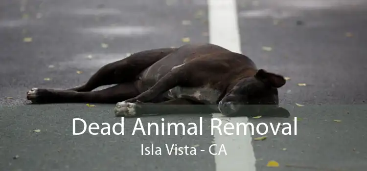 Dead Animal Removal Isla Vista - CA