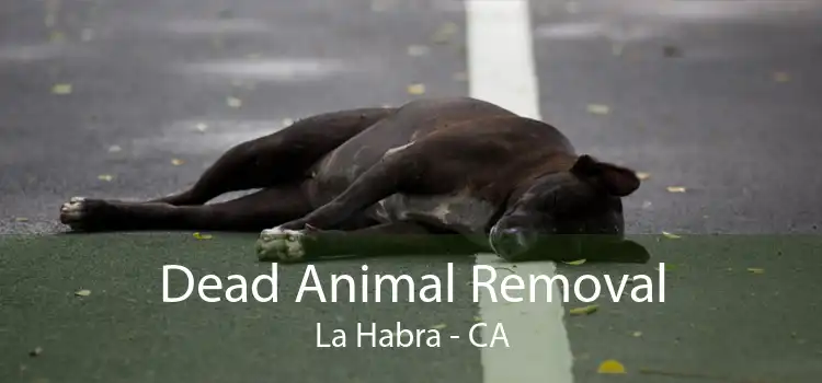 Dead Animal Removal La Habra - CA
