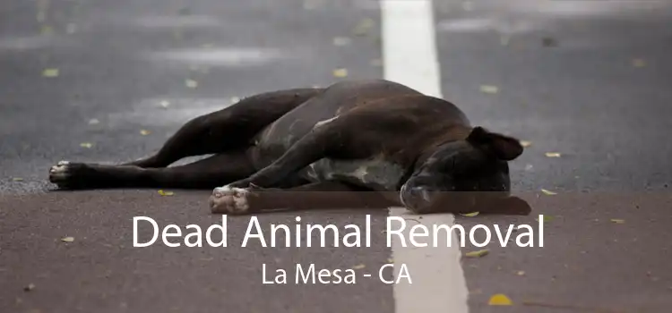 Dead Animal Removal La Mesa - CA