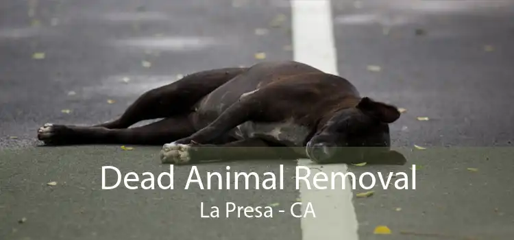 Dead Animal Removal La Presa - CA