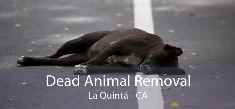 Dead Animal Removal La Quinta - CA