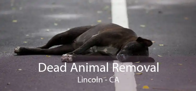 Dead Animal Removal Lincoln - CA