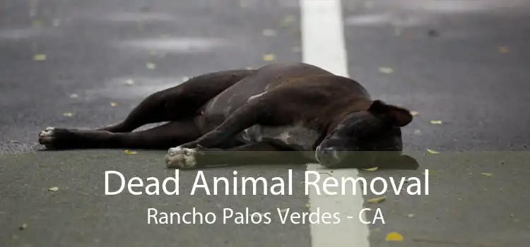 Dead Animal Removal Rancho Palos Verdes - CA