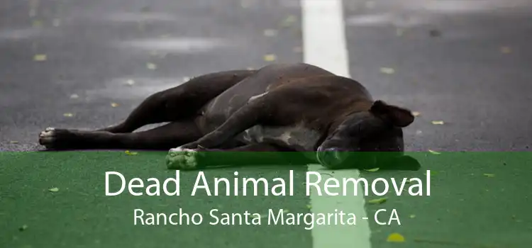 Dead Animal Removal Rancho Santa Margarita - CA