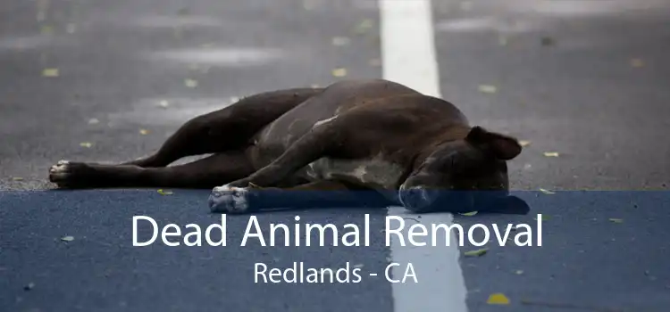 Dead Animal Removal Redlands - CA