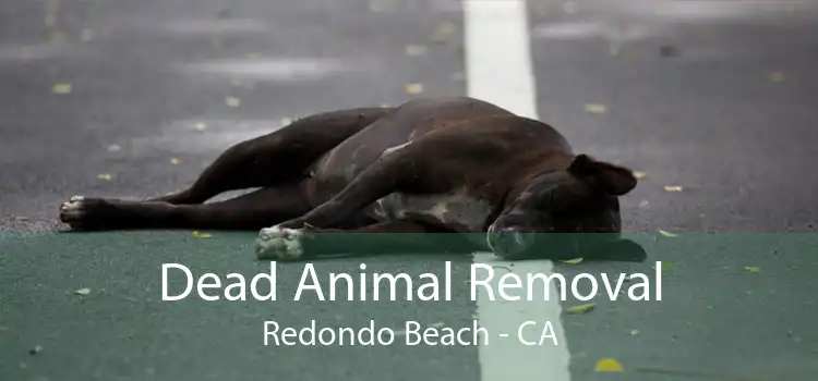 Dead Animal Removal Redondo Beach - CA