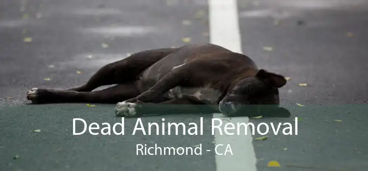 Dead Animal Removal Richmond - CA