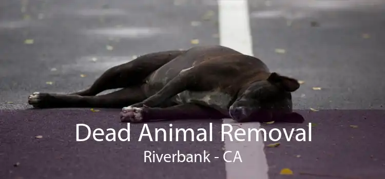 Dead Animal Removal Riverbank - CA