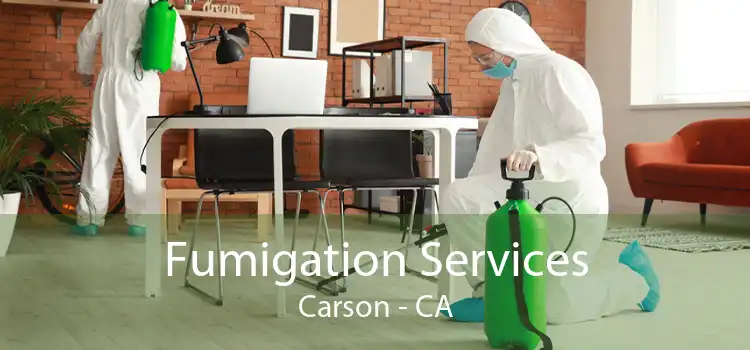 Fumigation Services Carson - CA