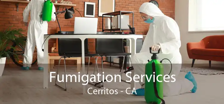 Fumigation Services Cerritos - CA