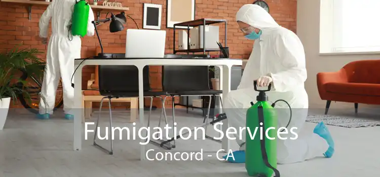 Fumigation Services Concord - CA