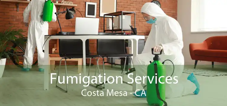 Fumigation Services Costa Mesa - CA