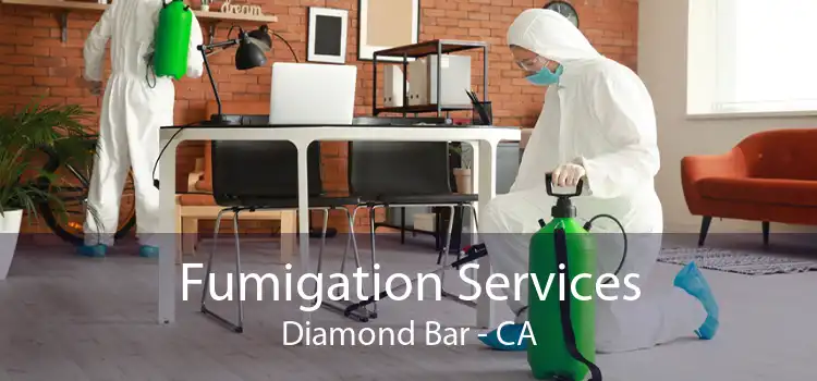 Fumigation Services Diamond Bar - CA