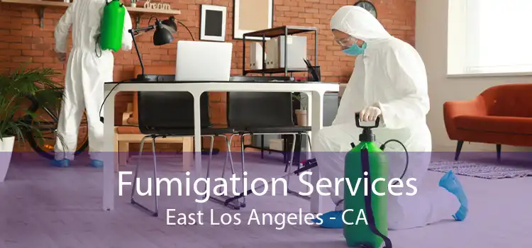 Fumigation Services East Los Angeles - CA