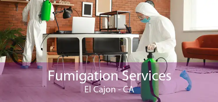 Fumigation Services El Cajon - CA