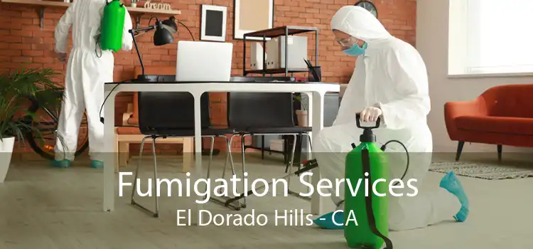 Fumigation Services El Dorado Hills - CA