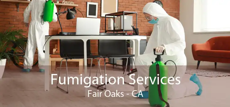 Fumigation Services Fair Oaks - CA
