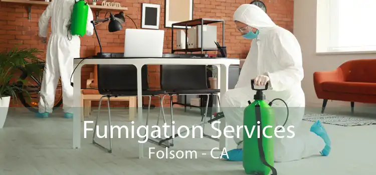 Fumigation Services Folsom - CA