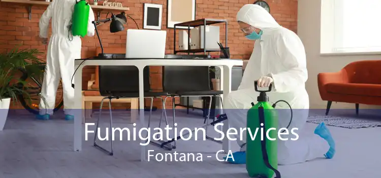Fumigation Services Fontana - CA