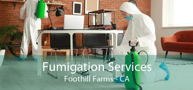 Fumigation Services Foothill Farms - CA