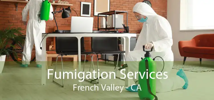 Fumigation Services French Valley - CA