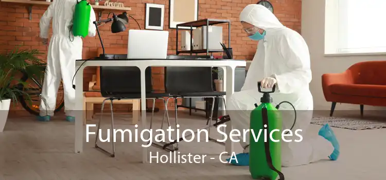 Fumigation Services Hollister - CA