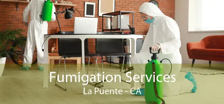Fumigation Services La Puente - CA
