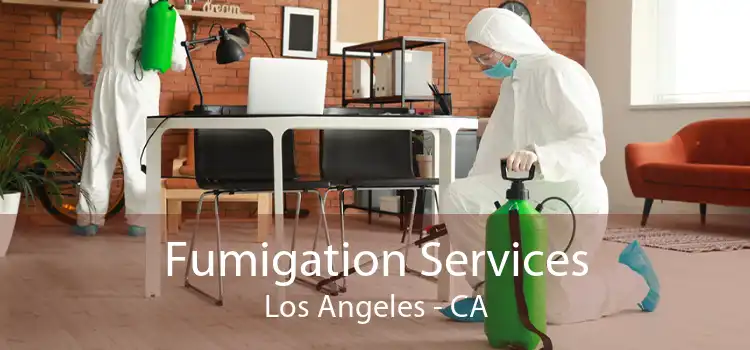 Fumigation Services Los Angeles - CA