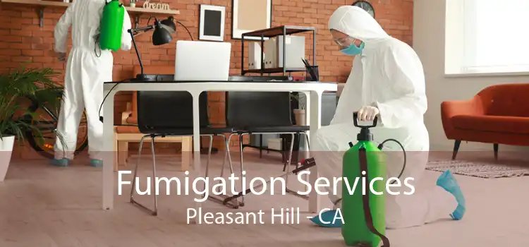 Fumigation Services Pleasant Hill - CA
