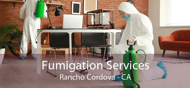 Fumigation Services Rancho Cordova - CA