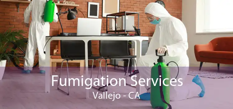 Fumigation Services Vallejo - CA