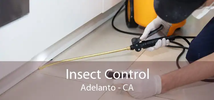Insect Control Adelanto - CA
