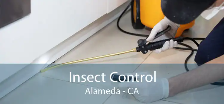 Insect Control Alameda - CA
