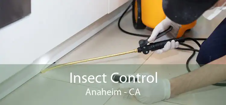 Insect Control Anaheim - CA